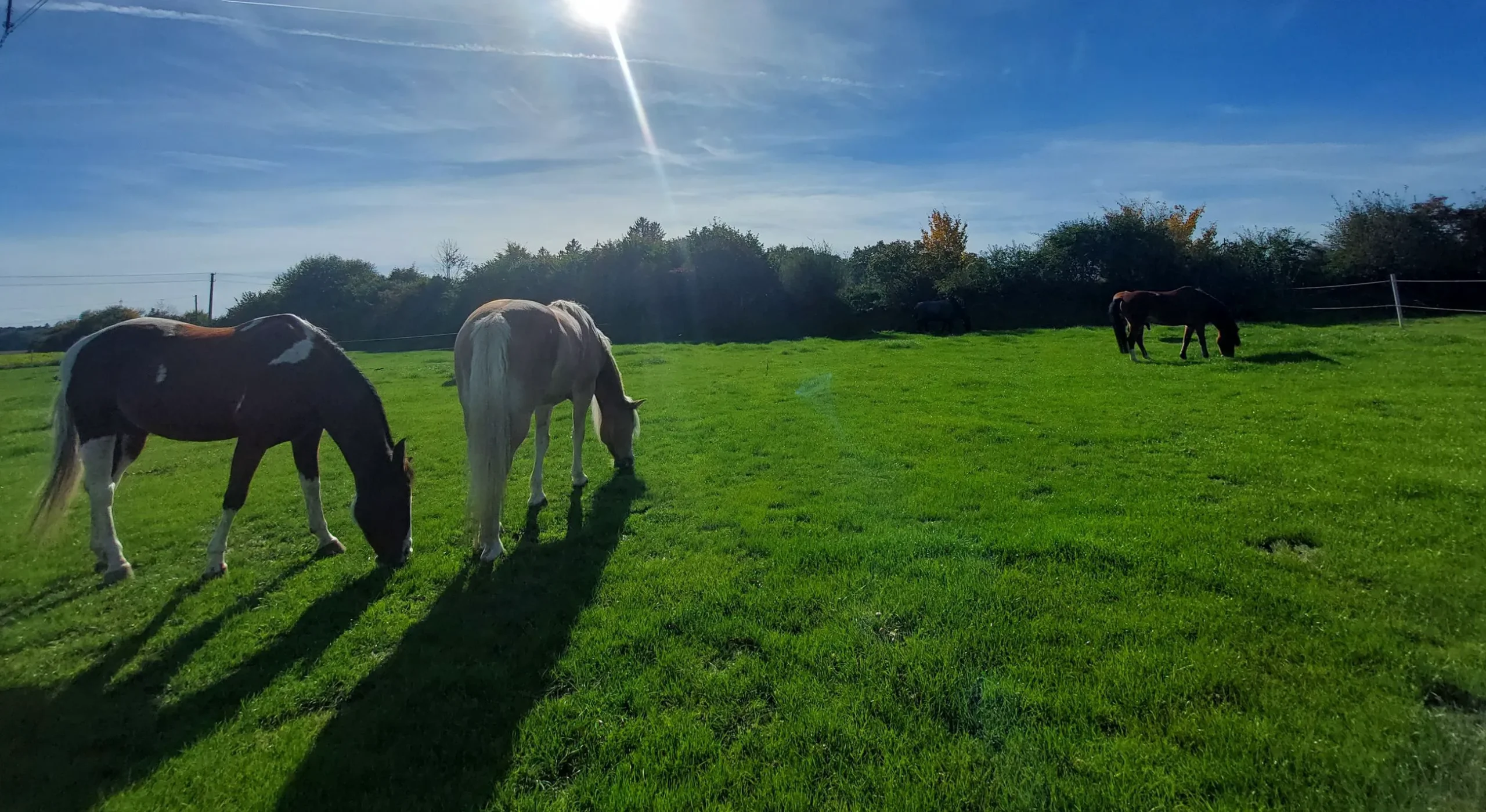 reitstall bei munchen 1