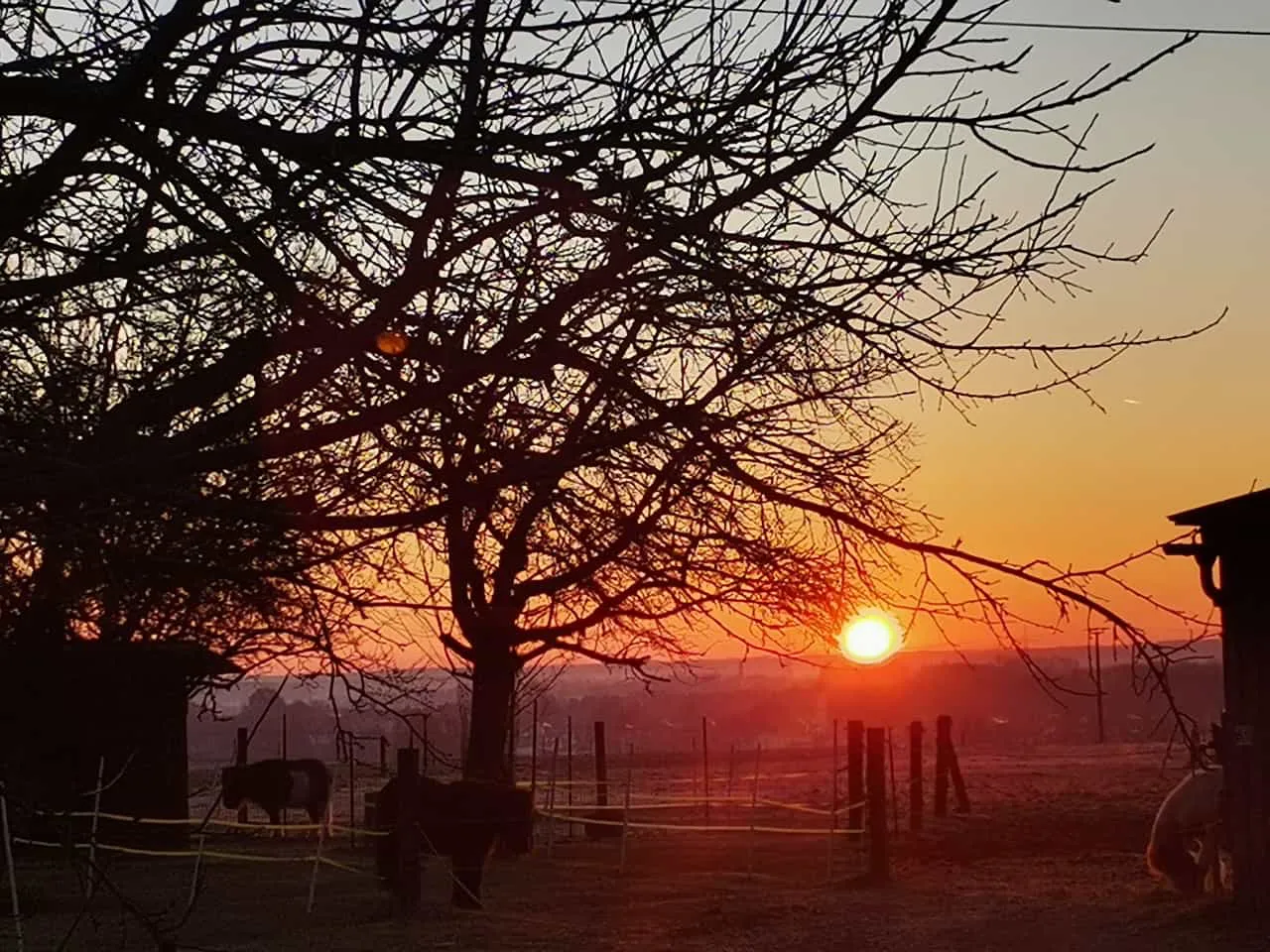 reitstall bei münchen 2